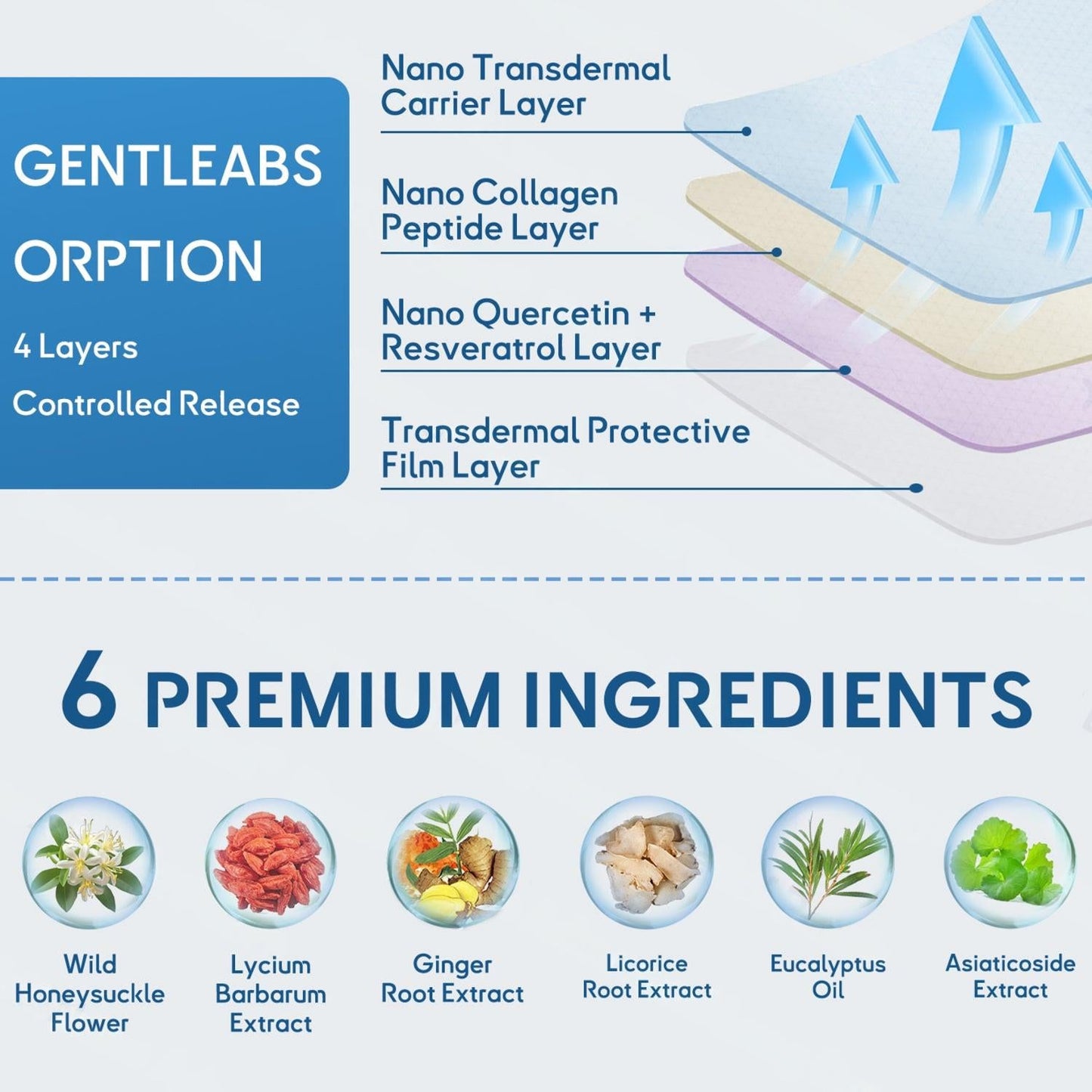 🫁✅Náplast LOVILDS™ DoubleNano pro úlevu od CHOPN schválená FDA (💝 Kašel, sípání, dušnost, sputum, ucpaný nos, bronchitida, zánět průdušek, alergické příznaky, plicní potíže🫁)